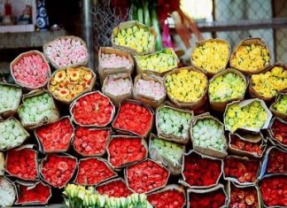 Khám phá chợ hoa Hồ Thị Kỷ