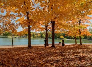 Tham khảo kinh nghiệm du lịch Canada mùa thu ngập sắc vàng lá phong Tham khảo kinh nghiệm du lịch Canada mùa thu ngập sắc vàng lá phong