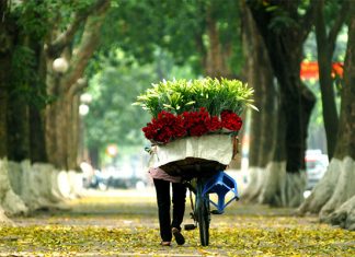 Tham khảo kinh nghiệm du lịch Hà Nội mùa thu với những điều đặc biệt Tham khảo kinh nghiệm du lịch Hà Nội mùa thu với những điều đặc biệt