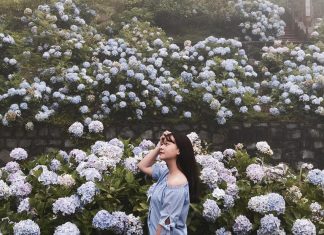 Du lịch Cao Bằng Mùa Thu đến với Suối Lê-nin đẹp như tiên cảnh tou cao bang mua thu