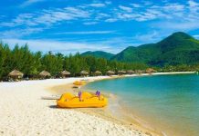 Review tour du lịch Hòn Tằm Nha Trang 1 ngày hấp dẫn nhất