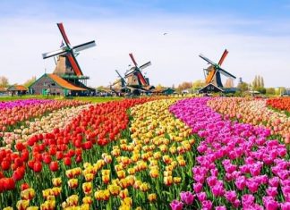 Đi tour du lịch Hà Lan cần chuẩn bị những gì? Đi tour du lịch Hà Lan cần chuẩn bị những gì?