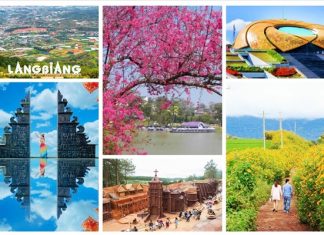 Check in 9 điểm du lịch Đà Lạt gần trung tâm cho team lười dịch chuyển Check in 9 điểm du lịch Đà Lạt gần trung tâm cho team lười dịch chuyển